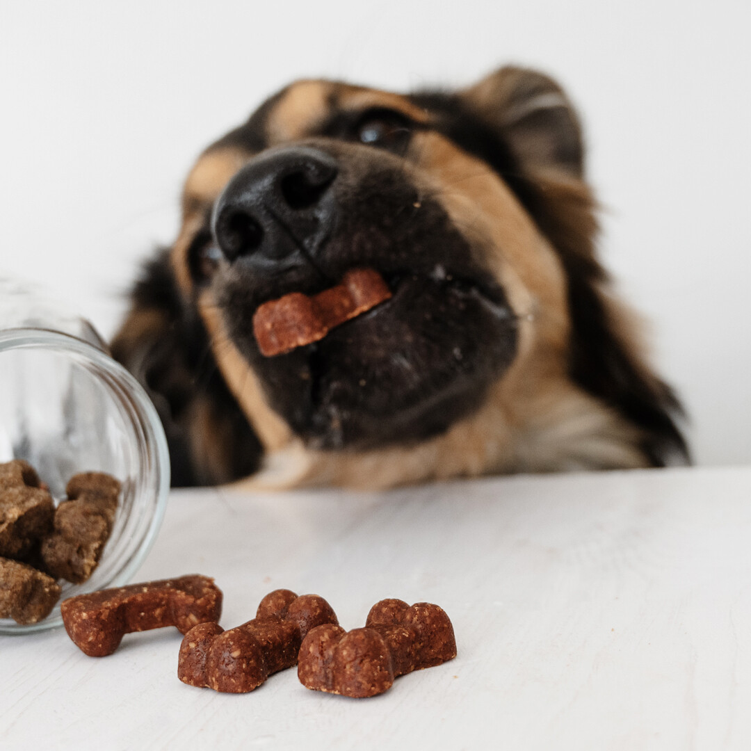 Gizzls - SOFT BITES Biscoitos de manteiga de amendoim e banana para cães