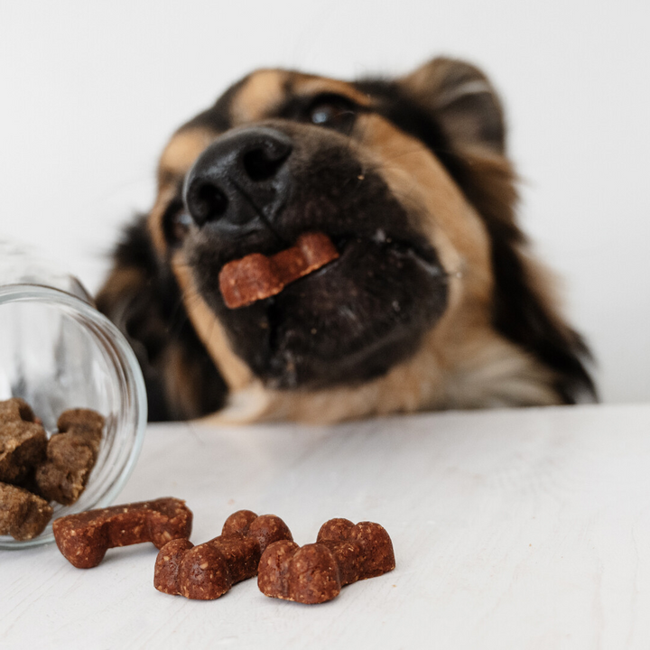 Gizzls - SOFT BITES Biscoitos de manteiga de amendoim e banana para cães