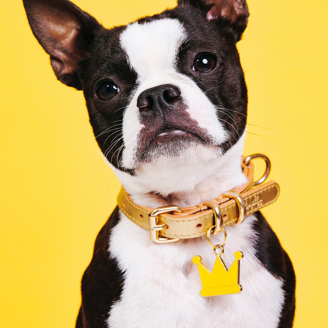 Brooch - Personalised ROYAL CROWN Dog Tag