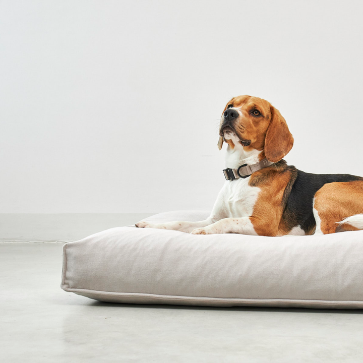 MiaCara - COMODO Dog Cushion