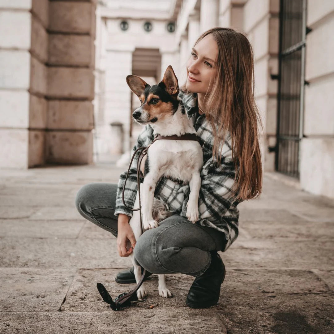 Molly&Stitch - CITY Arnês 