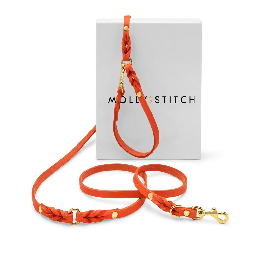 Molly&Stitch - 3xAdjustable  CITY Leash