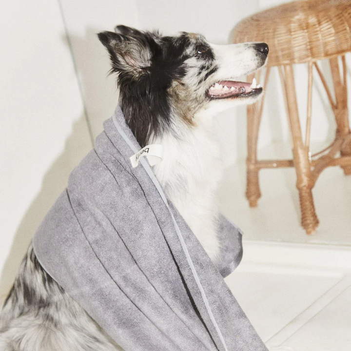 A happy dog wrapped in a soft, dark stone-colored antibacterial bath towel after grooming. This eco-friendly, 100% bamboo towel is designed for conscious dog parents, providing sustainable and natural care for pets. Ideal for maintaining hygiene and wellness, this high-quality dog grooming essential is both luxurious and practical.