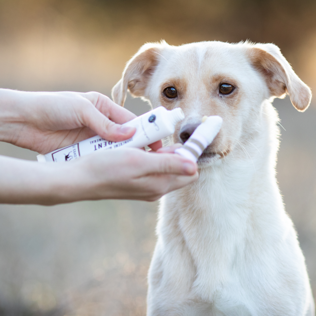 Lila Loves It - Dental Care Set