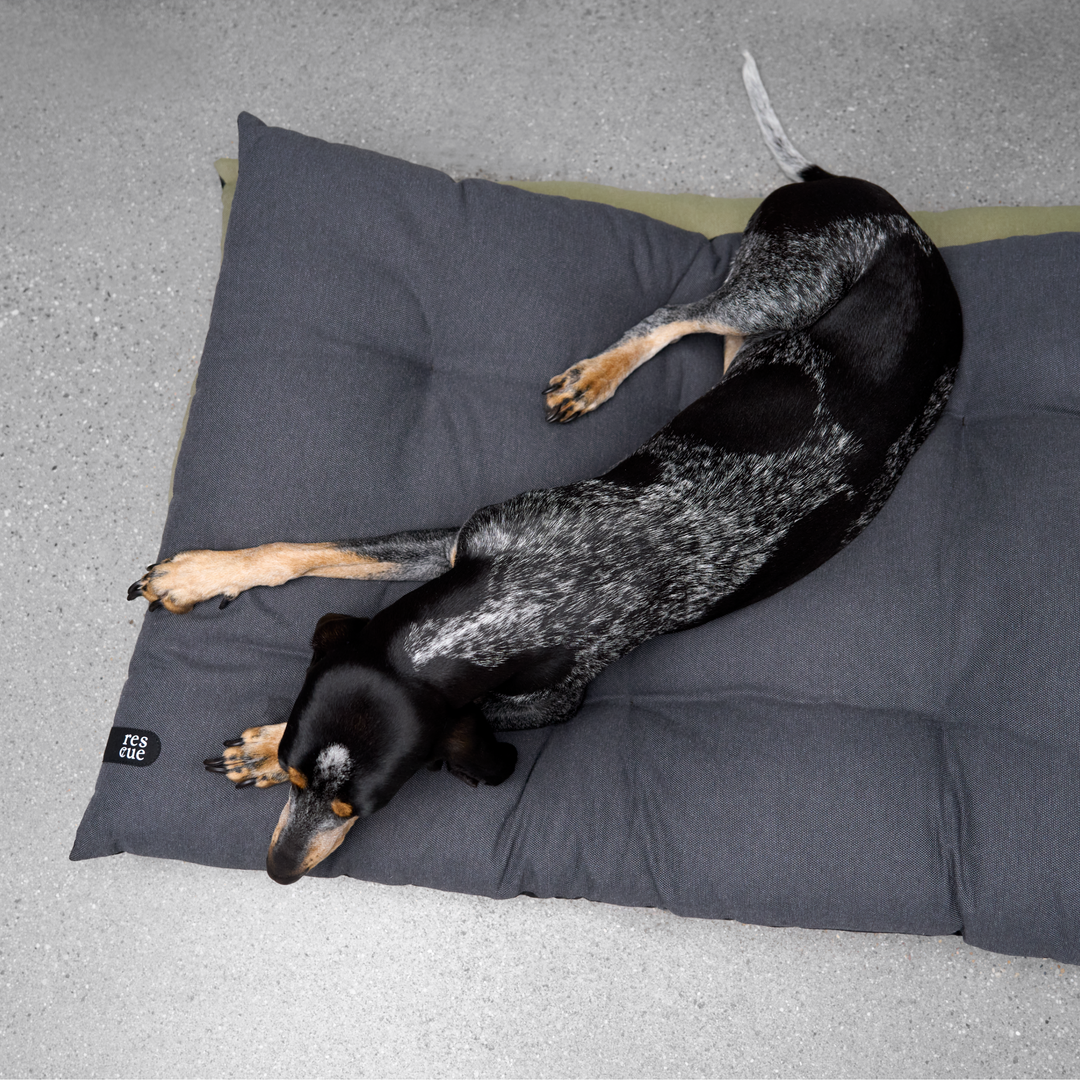 Cloud7 - RESC7UE Dog Pillow