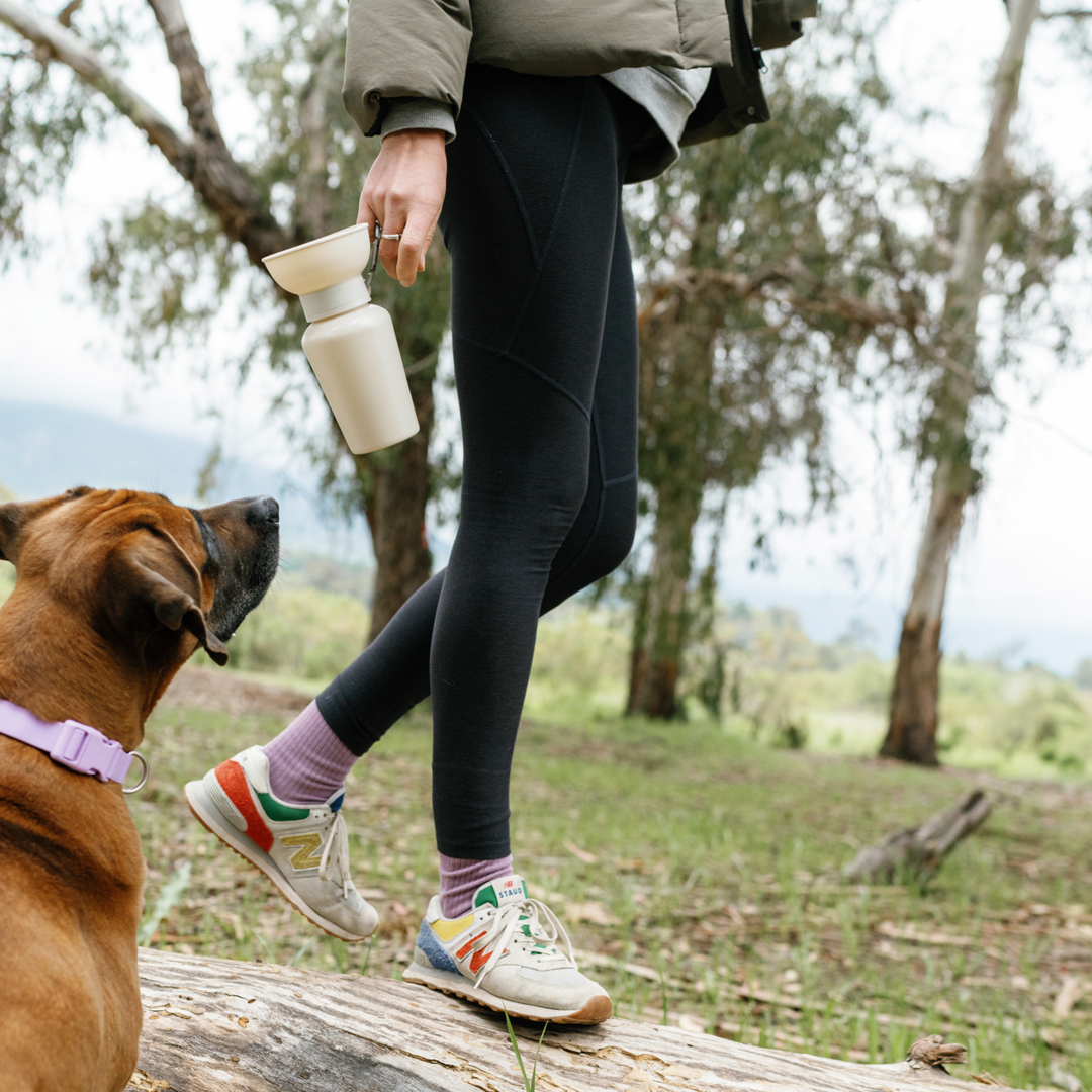 Springer - FLIP Dog Travel Water Bottle