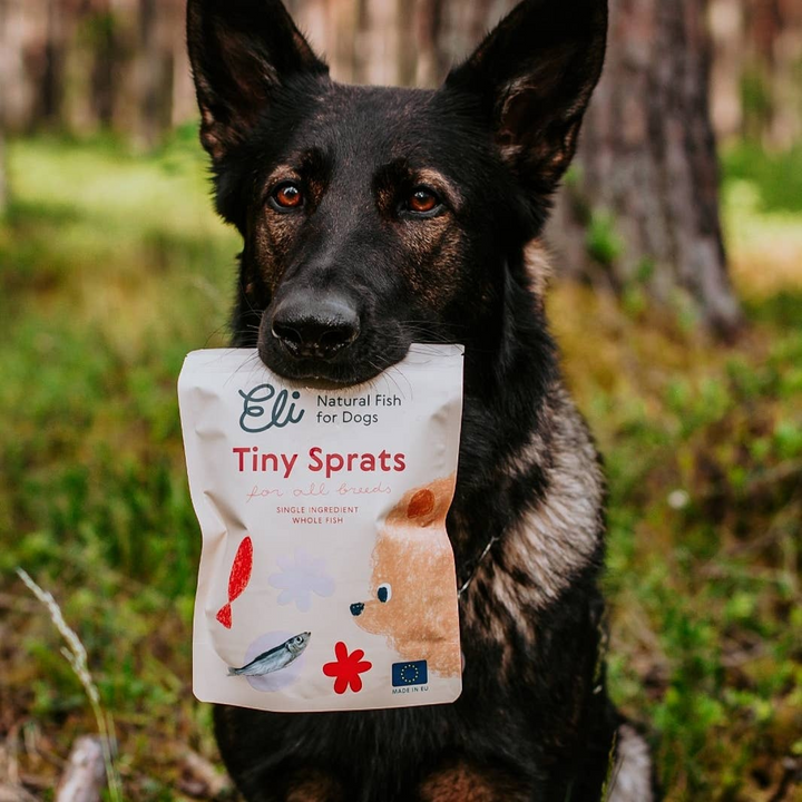 Eli - TINY SPRATS Treats