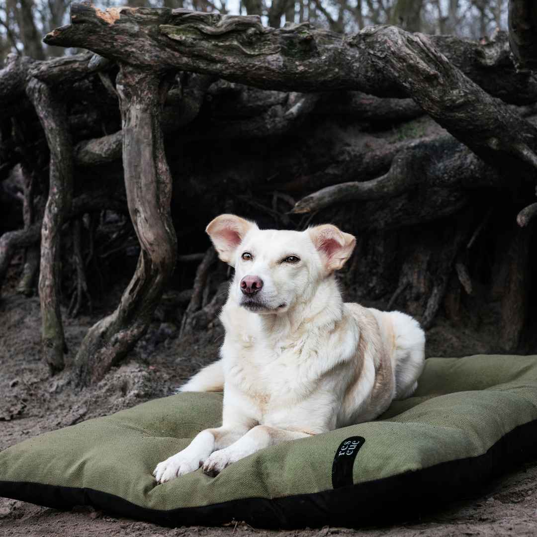 Cloud7 - RESC7UE Dog Pillow