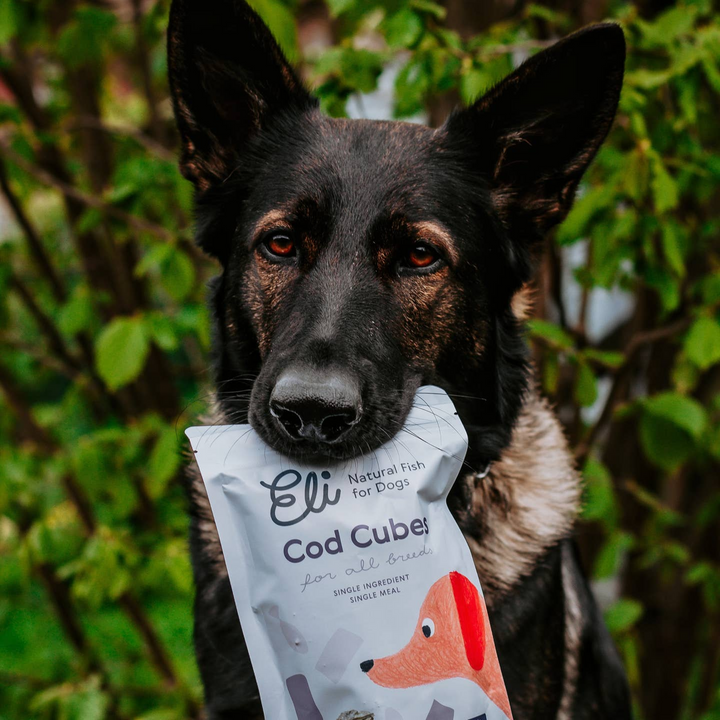 Eli - COD CUBES Treat