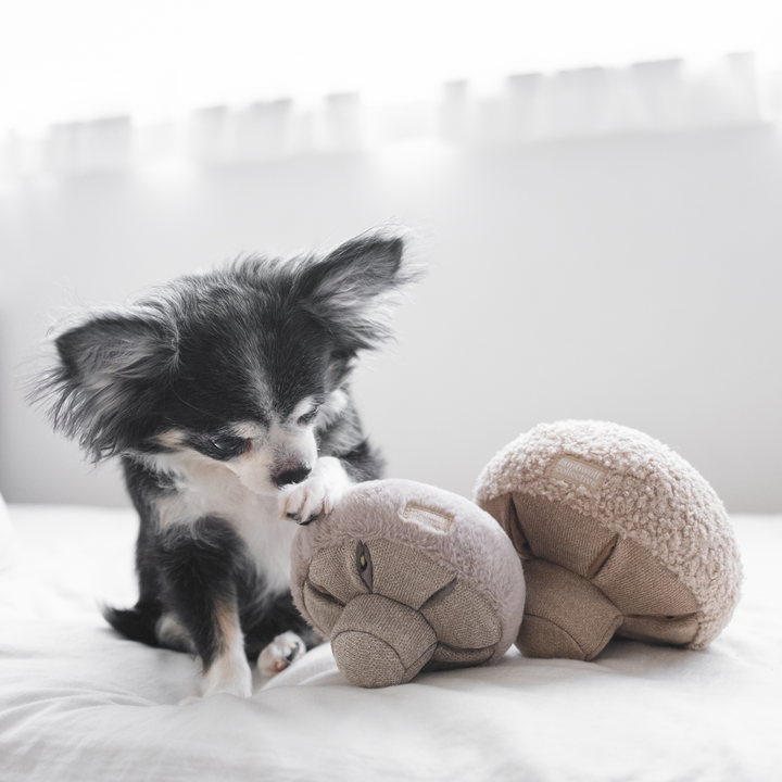 Lambwolf - GUU Snuffle Mushroom Dog Toy