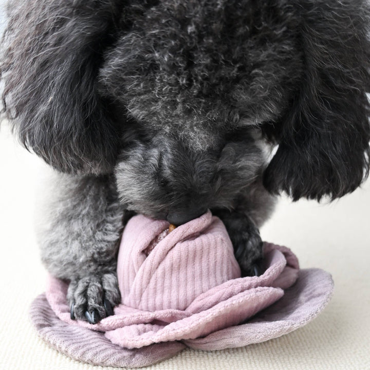 Lambwolf - Cabbage POP - Enrichment Toy - OhMyDog&Co