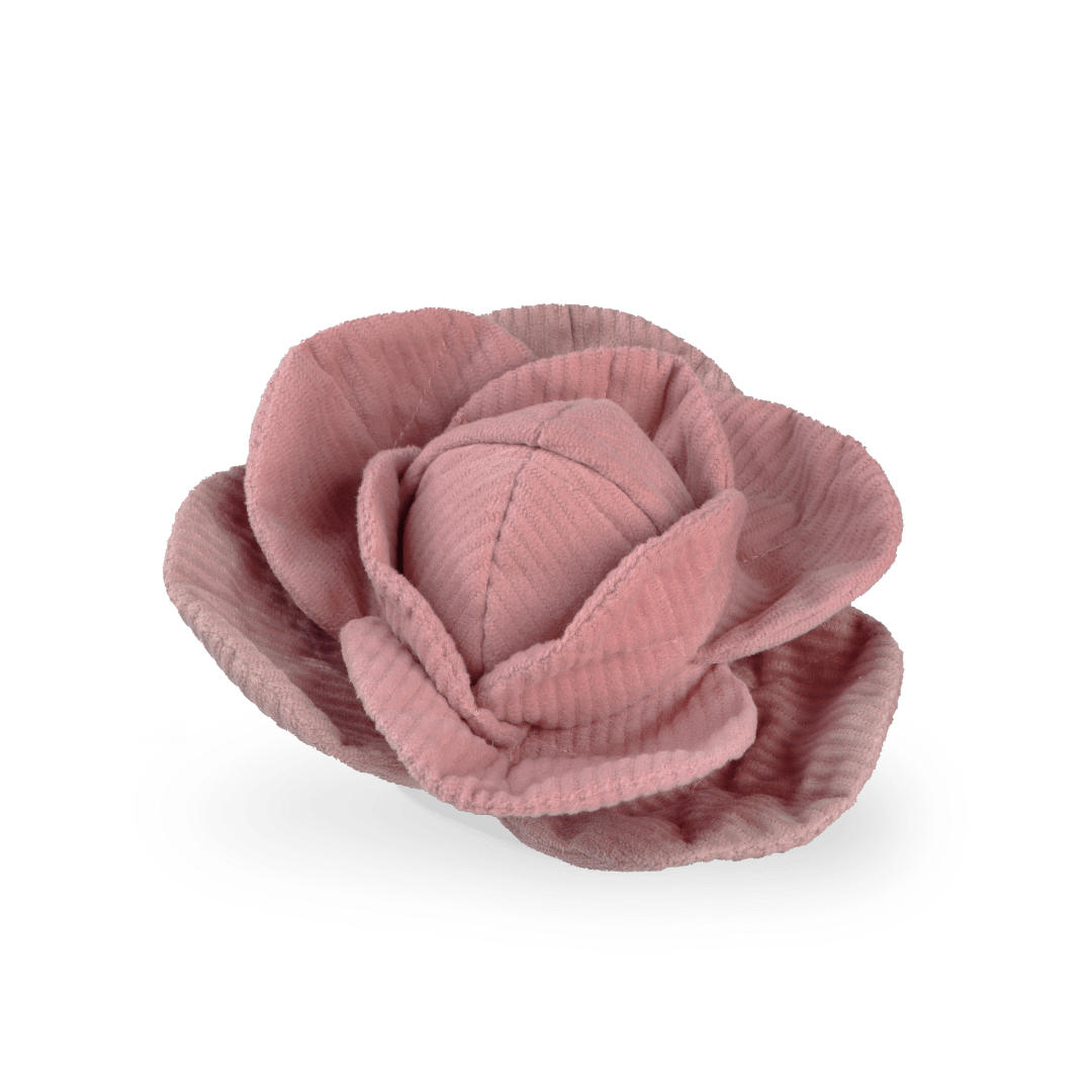 Lambwolf - Cabbage POP - Enrichment Toy - OhMyDog&Co