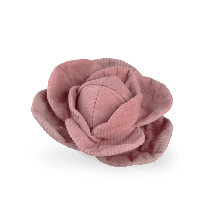 Lambwolf - Cabbage POP - Enrichment Toy - OhMyDog&Co