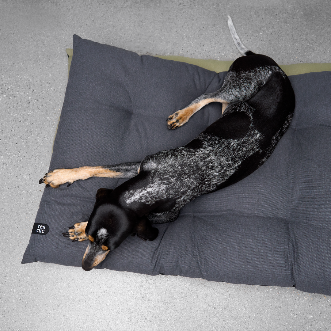 Cloud7 - RESC7UE Dog Pillow with waterproof bottom, durable design, supporting dogs in need, shown with a resting dog.