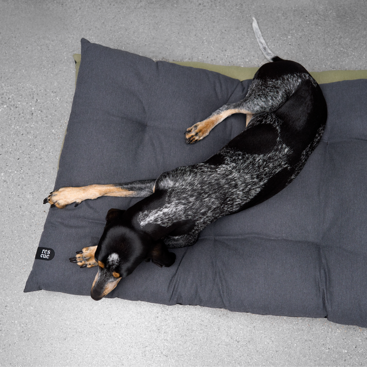 Cloud7 - RESC7UE Dog Pillow with waterproof bottom, durable design, supporting dogs in need, shown with a resting dog.