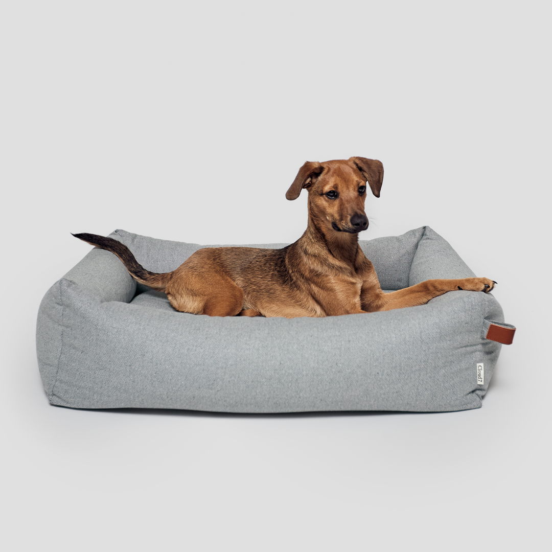 Dog lying on light grey Cloud7 SLEEPY DELUXE TWEED Dog Bed with bolster edges and sustainable fabric.