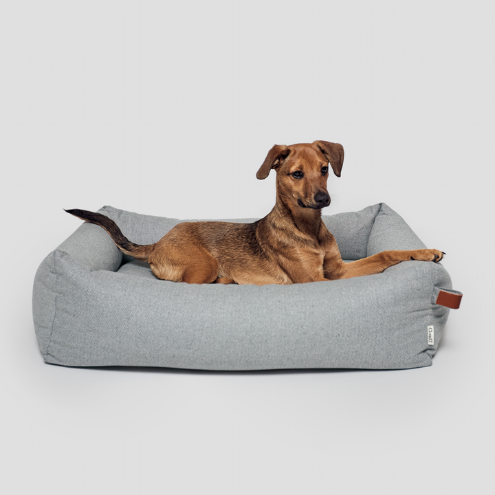 Dog lying on light grey Cloud7 SLEEPY DELUXE TWEED Dog Bed with bolster edges and sustainable fabric.
