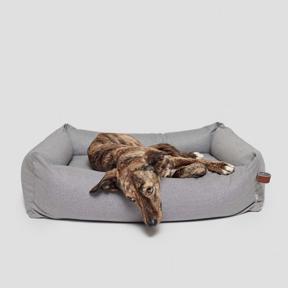 Cloud7 - SLEEPY DELUXE TWEED Dog Bed with a brindle dog lying comfortably on a light grey mattress with bolster edges.