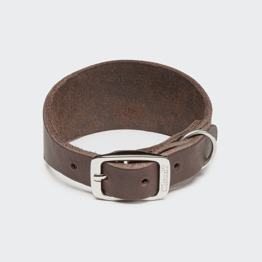 Cloud7 - REGENT PARK Whippet & Greyhound Collar in wide brown leather with stainless steel buckle and ring