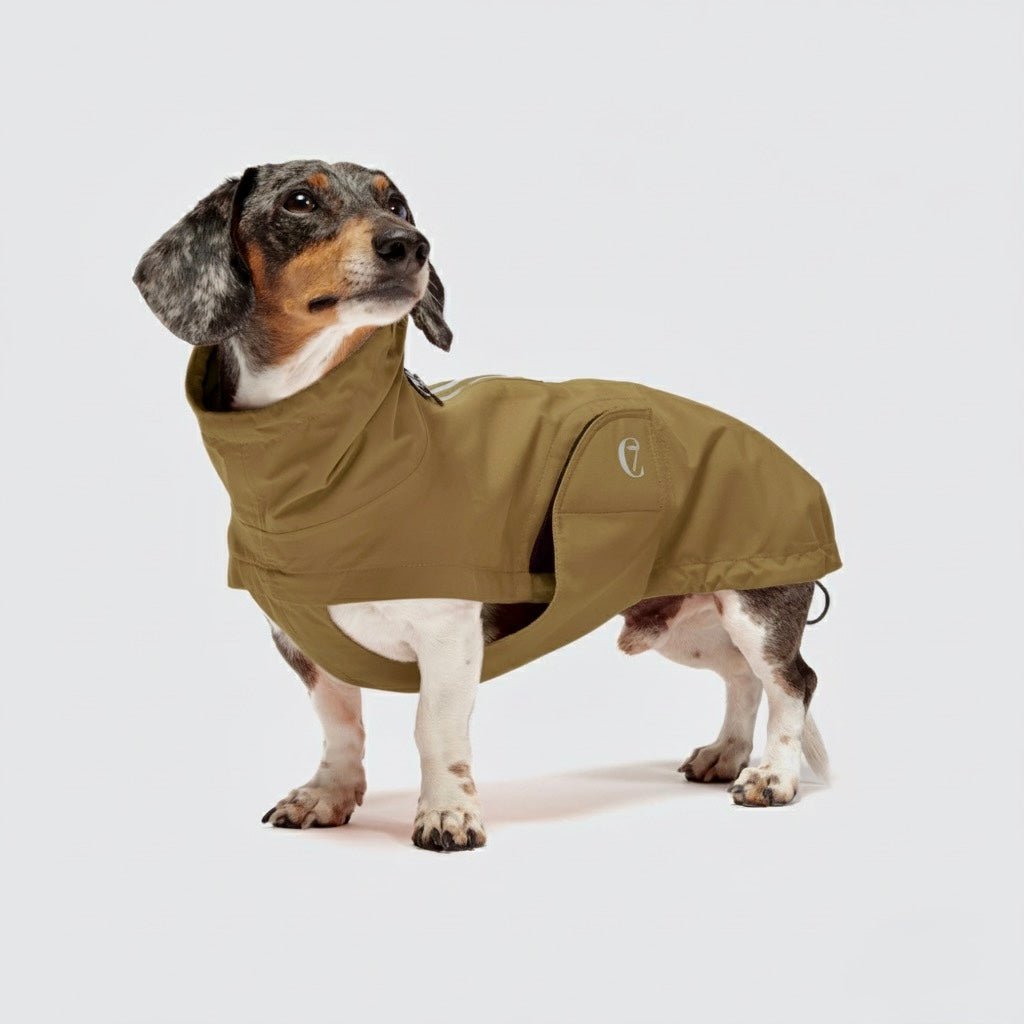 Capa de chuva Cloud7 Dublin 2.0 Dachshund - OhMyDog&Co