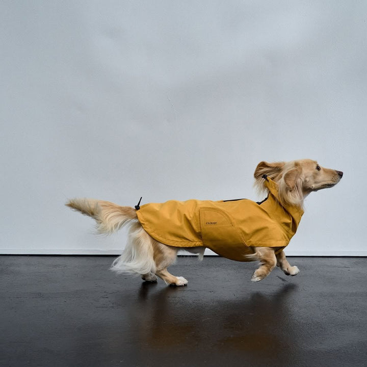 Capa de chuva Cloud7 Dublin 2.0 Dachshund - OhMyDog&Co
