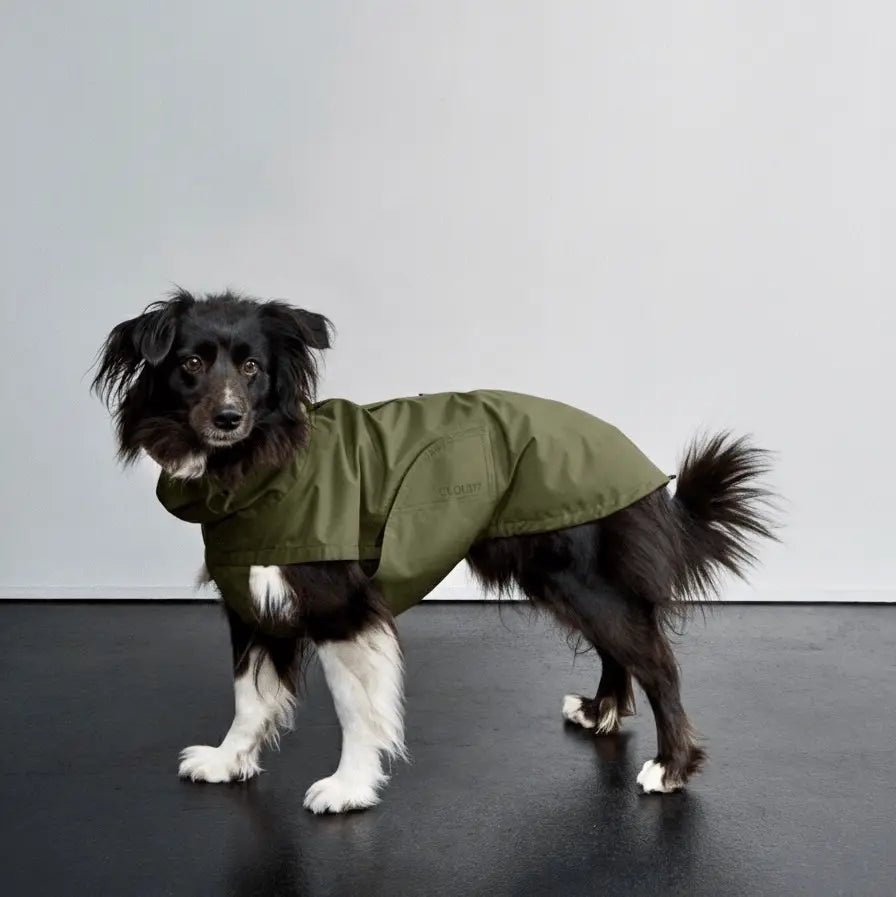 Cloud7 - DUBLIN 2.0 Dog Raincoat - 1 - OhMyDog&Co