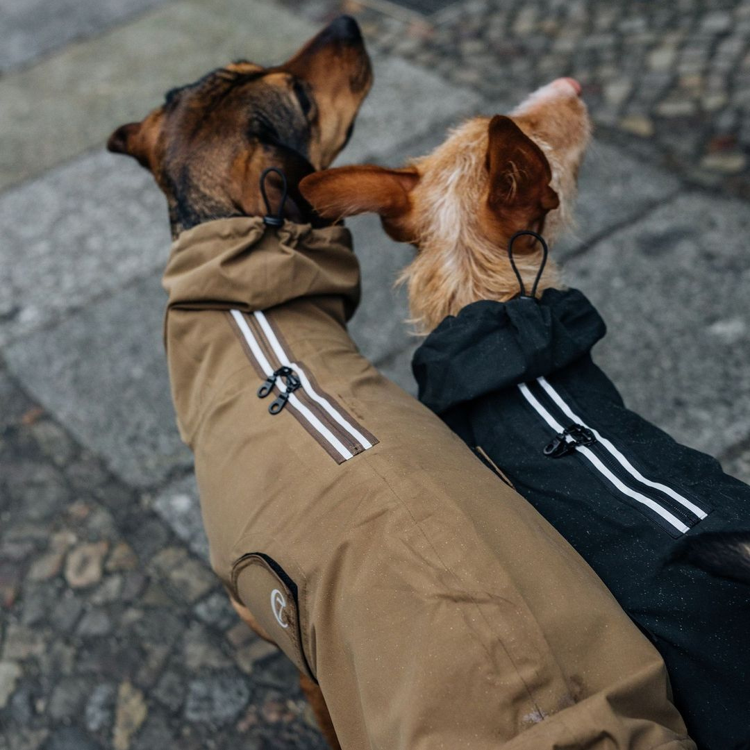 Two dogs wearing Cloud7 - Dog Raincoat Dublin in tan and black on a city pavement background.