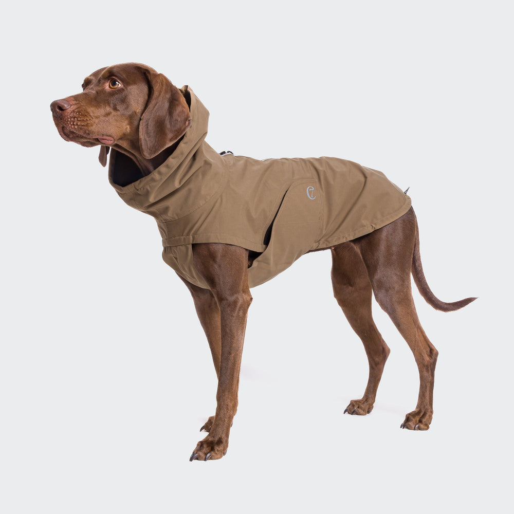 Cloud7 - Dog Raincoat Dublin in taupe on a standing dog, water-repellent with adjustable fit and reflective zipper.