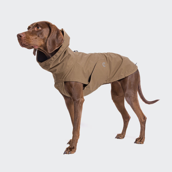 Cloud7 - Dog Raincoat Dublin in taupe on a standing dog, water-repellent with adjustable fit and reflective zipper.
