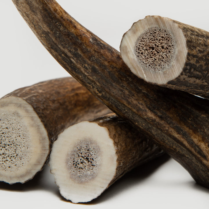 Cloud7 - NATURAL HORN Chew Toy halved deer antlers for dogs, natural dental care, rich in minerals, safe and sustainable chew.