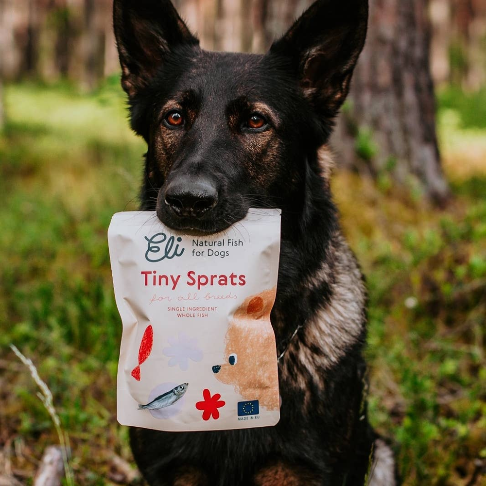Dog holding a beige bag of Eli Tiny Sprats natural fish treats for dogs, nutritious small dried fish snack, Eli