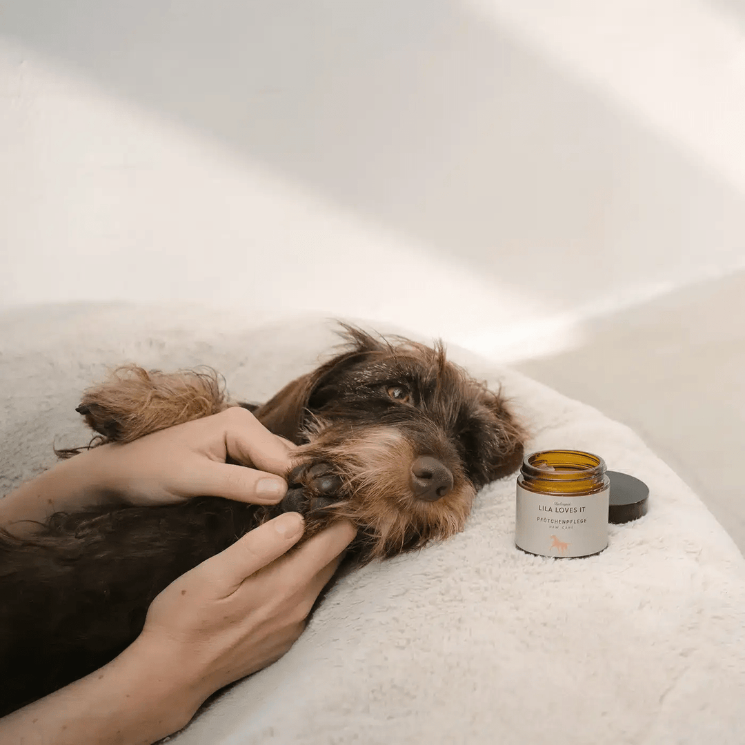 Lila Loves It - Paw Care Nourishing Balm - 60 ml - OhMyDog&Co