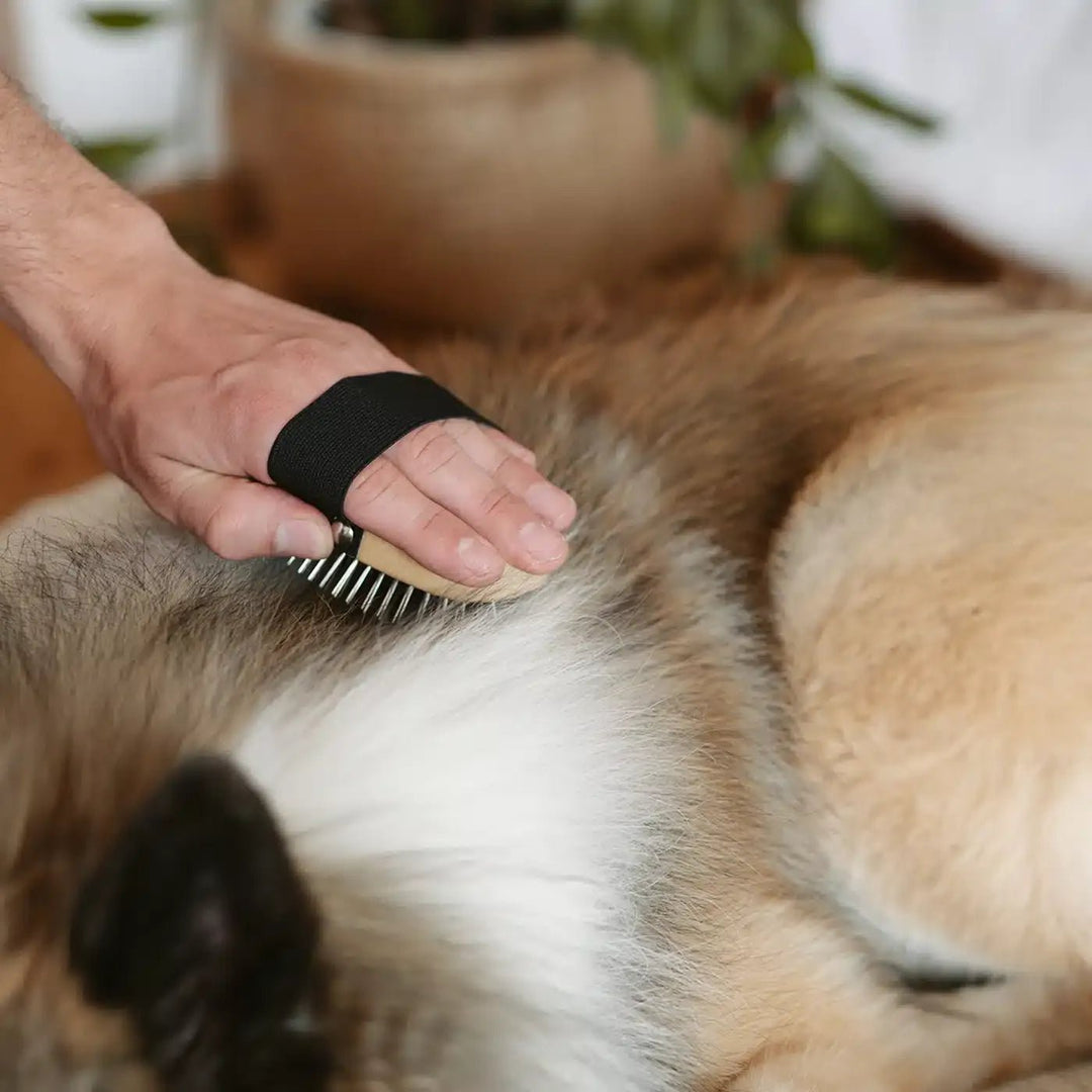 Lila Loves It - Escova para cabelos longos - OhMyDog&Co