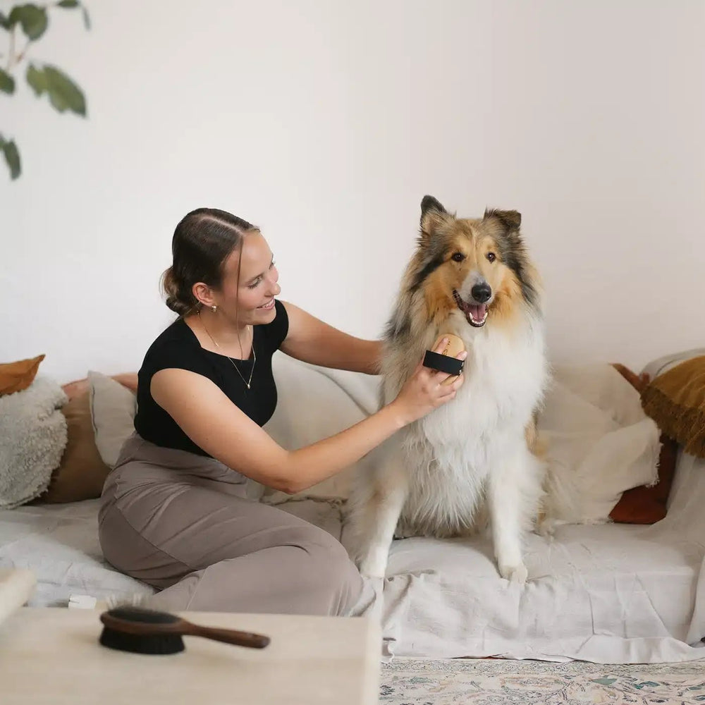 Lila Loves It - Long Hair Brush - OhMyDog&Co