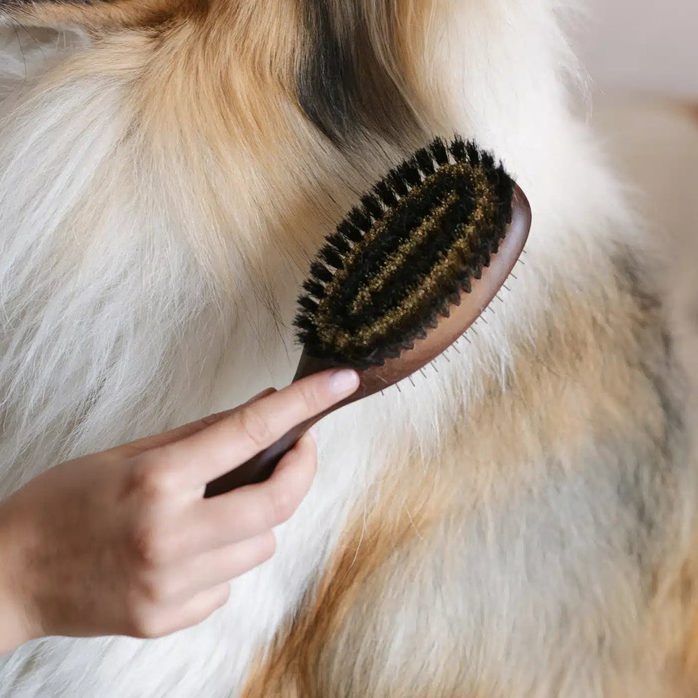 Lila Loves It - Double Sided Brush - OhMyDog&Co