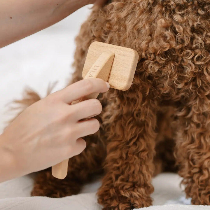 Lila Loves It - Slicker Brush - Medium - OhMyDog&Co