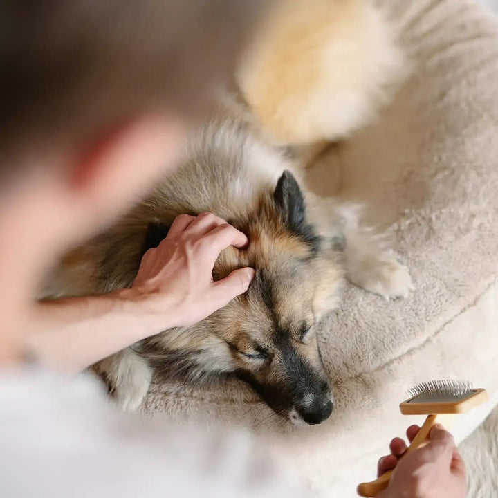 Lila Loves It - Slicker Brush - Medium - OhMyDog&Co