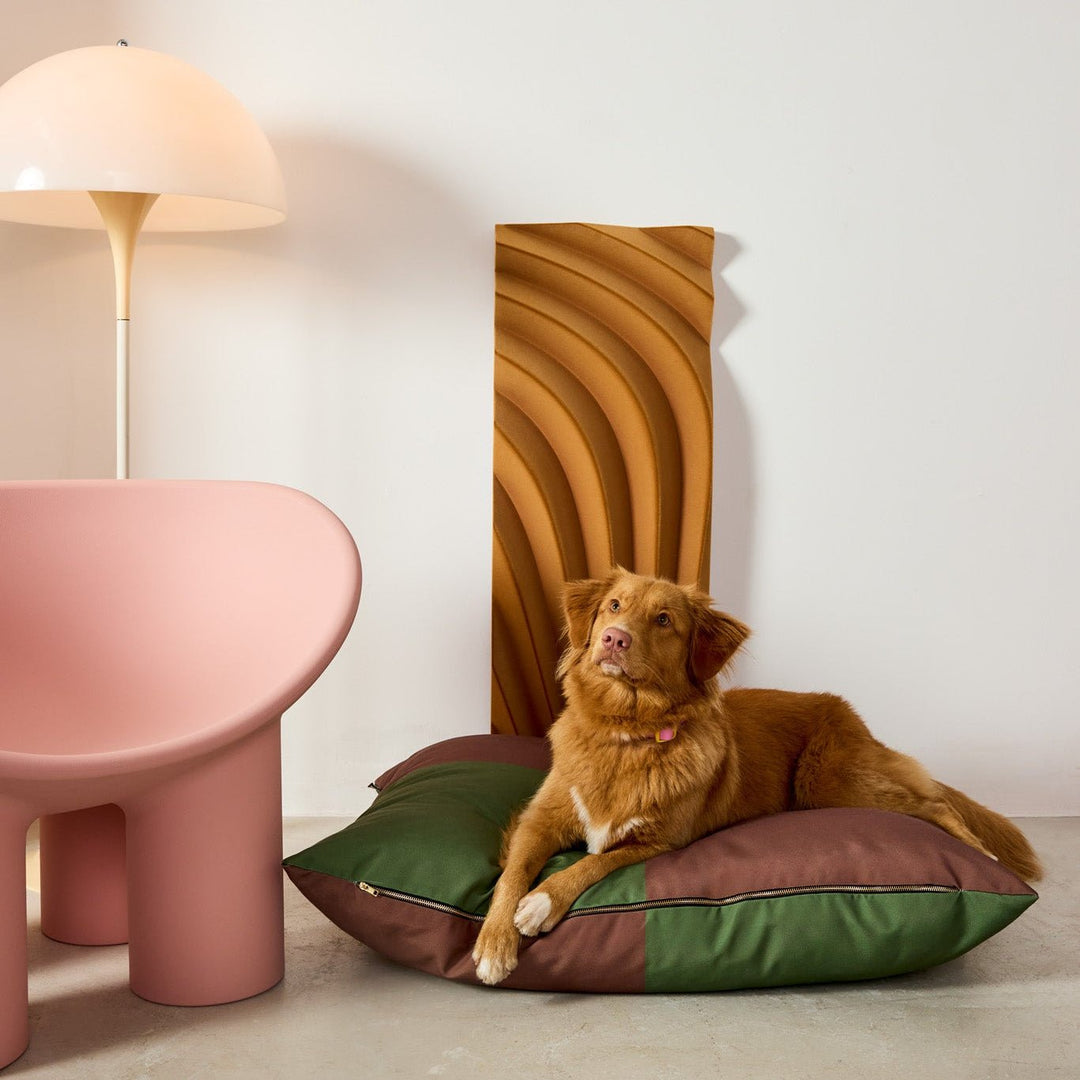 Fritz - Cama GRANDE - OhMyDog&Co