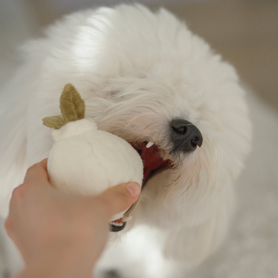 Lambwolf - GARLIC POP: bouncy + squeaky