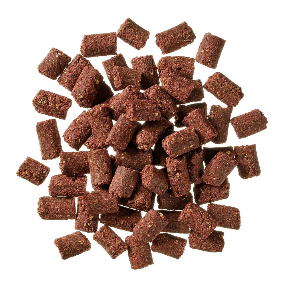 Crunchy brown insect protein dog snacks for wellbeing and sensitive dogs, natural training treats by Globe Buddy Globe Buddy - INSECT CRUNCH Dog Snack