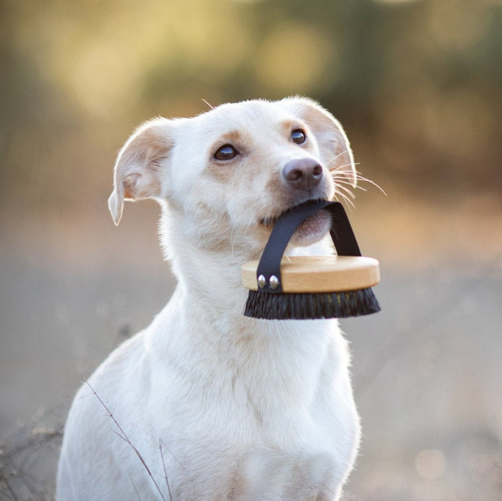 Lila Loves It - Short Hair Brush - OhMyDog&Co