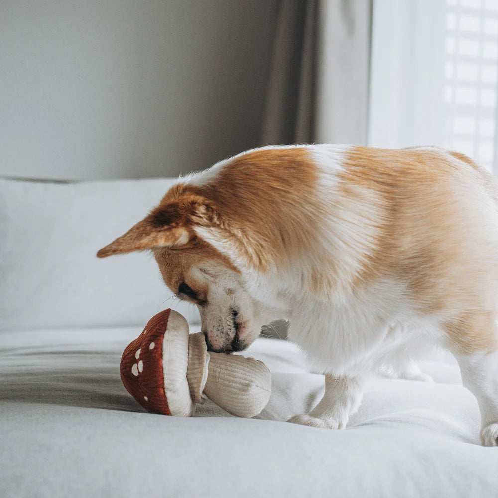 Interactive SHROOM Red dog toy with multiple squeakers for mental stimulation and slow feeding by Lambwolf Collective