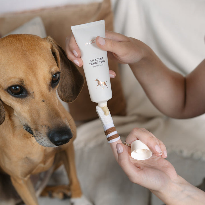 Lila Loves It - Dental Care Set - OhMyDog&Co