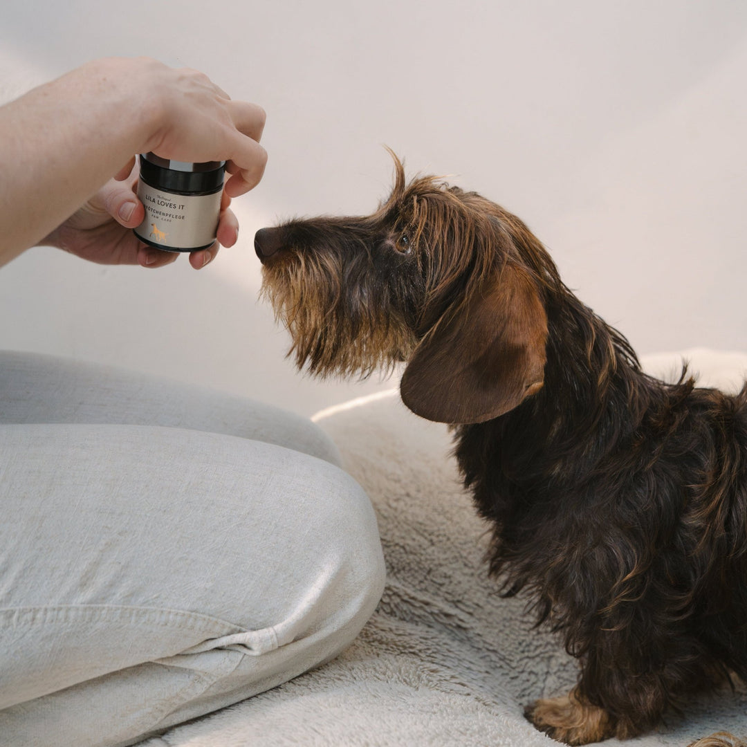 Lila Loves It - Paw Care Nourishing Balm - OhMyDog&Co