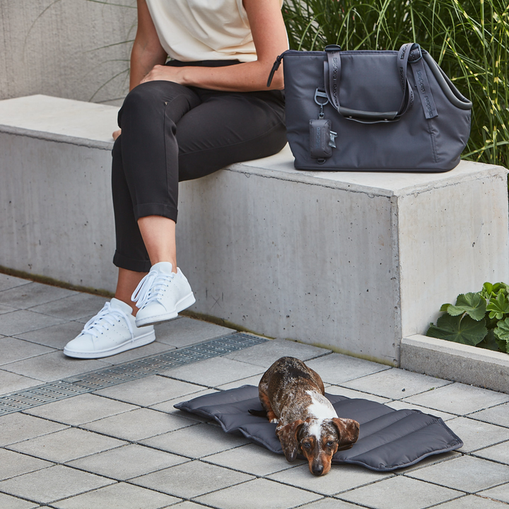 SPORTA Dog Carrier Bag in dark fabric with padded mattress for small dogs’ comfort and safety by Miacara
