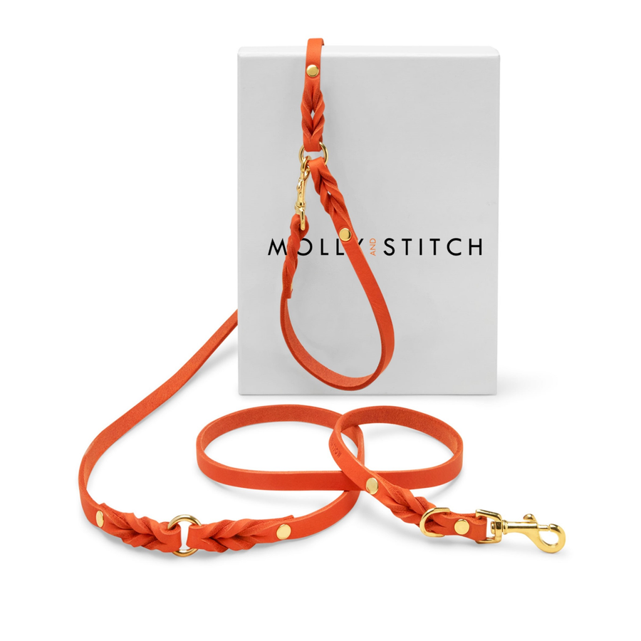 3xAdjustable CITY Leash in orange butter leather with gold hardware for stylish dog walks by Molly & Stitch