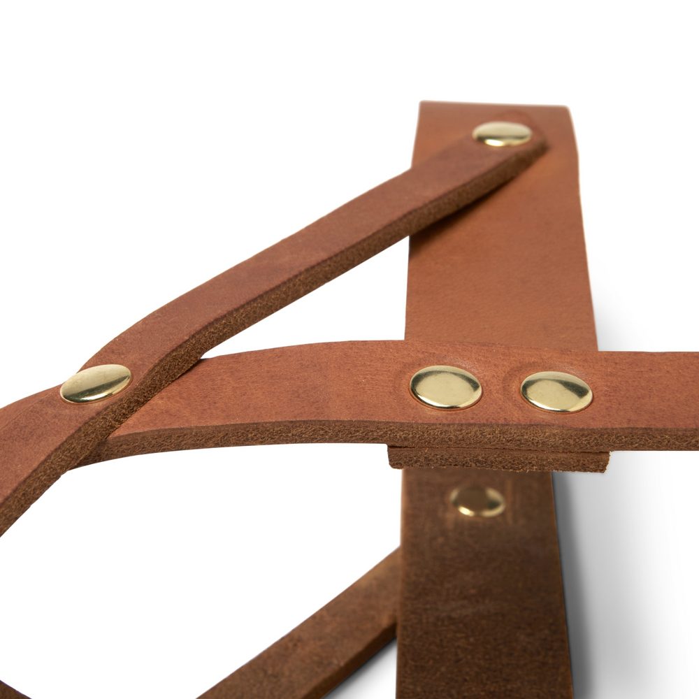 Premium butter-soft leather adjustable dog harness for comfort and style, crafted sustainably by Molly & Stitch - CITY Harness