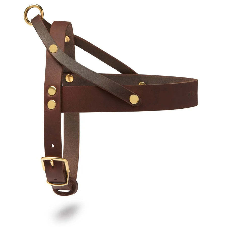 Molly&Stitch - CITY Harness - OhMyDog&Co
