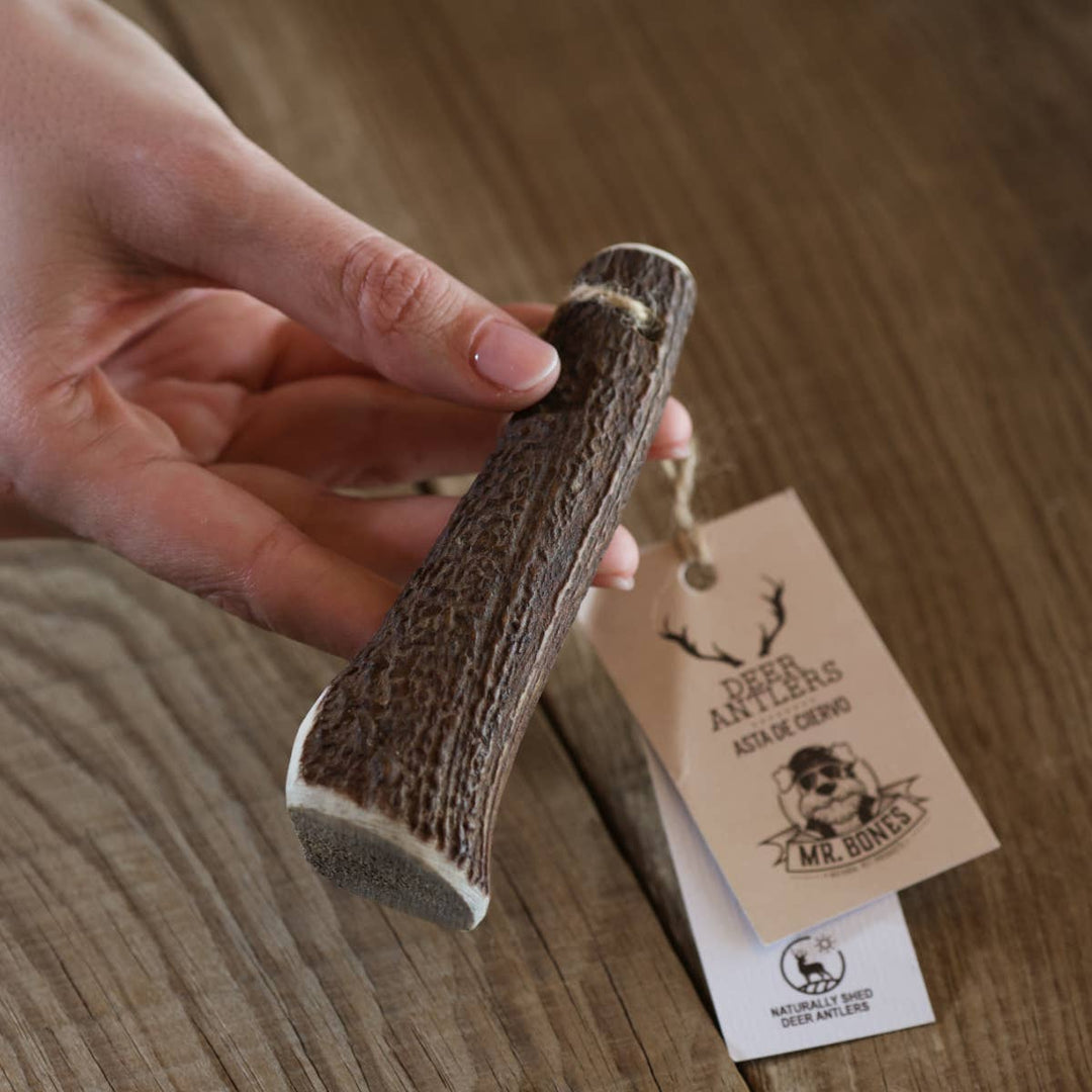 MR BONES - Deer Antler Natural Dog Chew