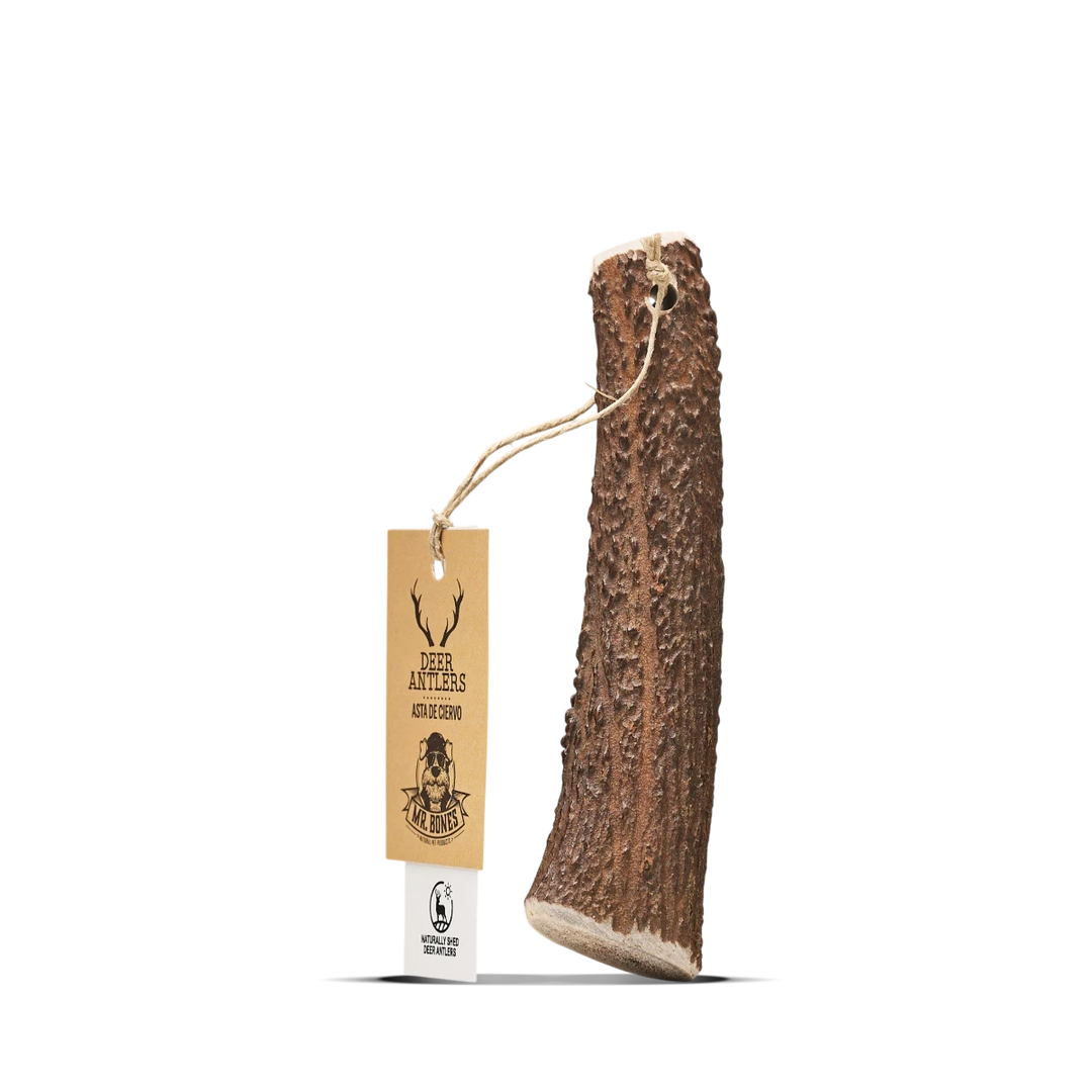 MR BONES - Deer Antler Natural Dog Chew